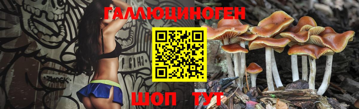Обнинск  Галлюциногенные грибы Magic Shrooms  Вход с VPN  где можно купить наркотик  Псилоцибиновые грибы GOLDEN TEACHER 